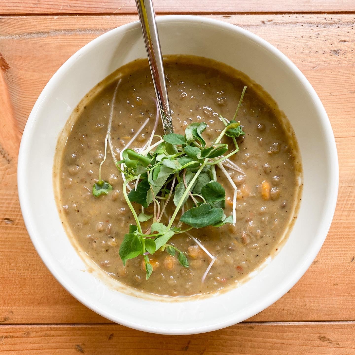 Lentil Coconut Cardamom Soup (32 oz)