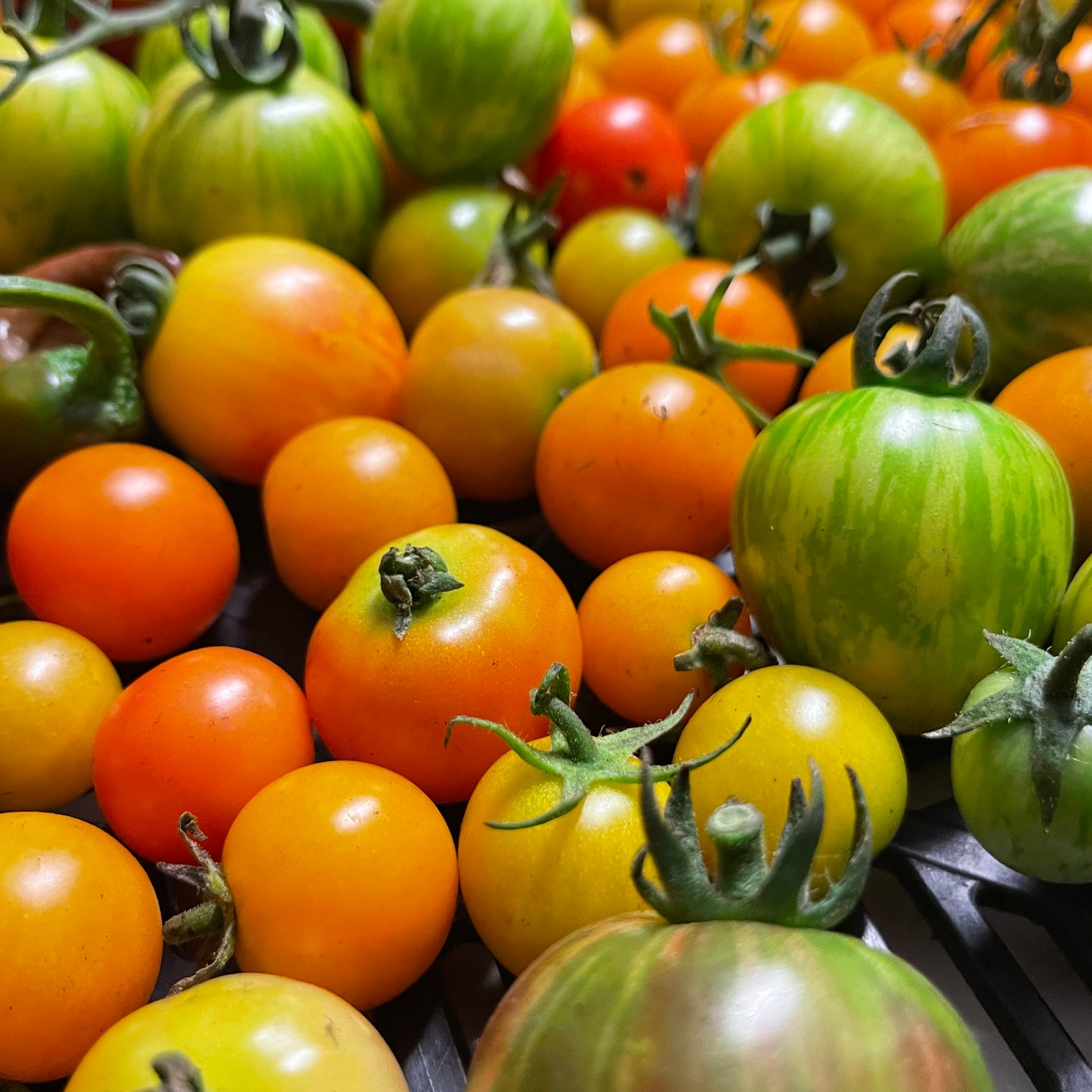 Sungold Tomato Gazpacho (32 oz)