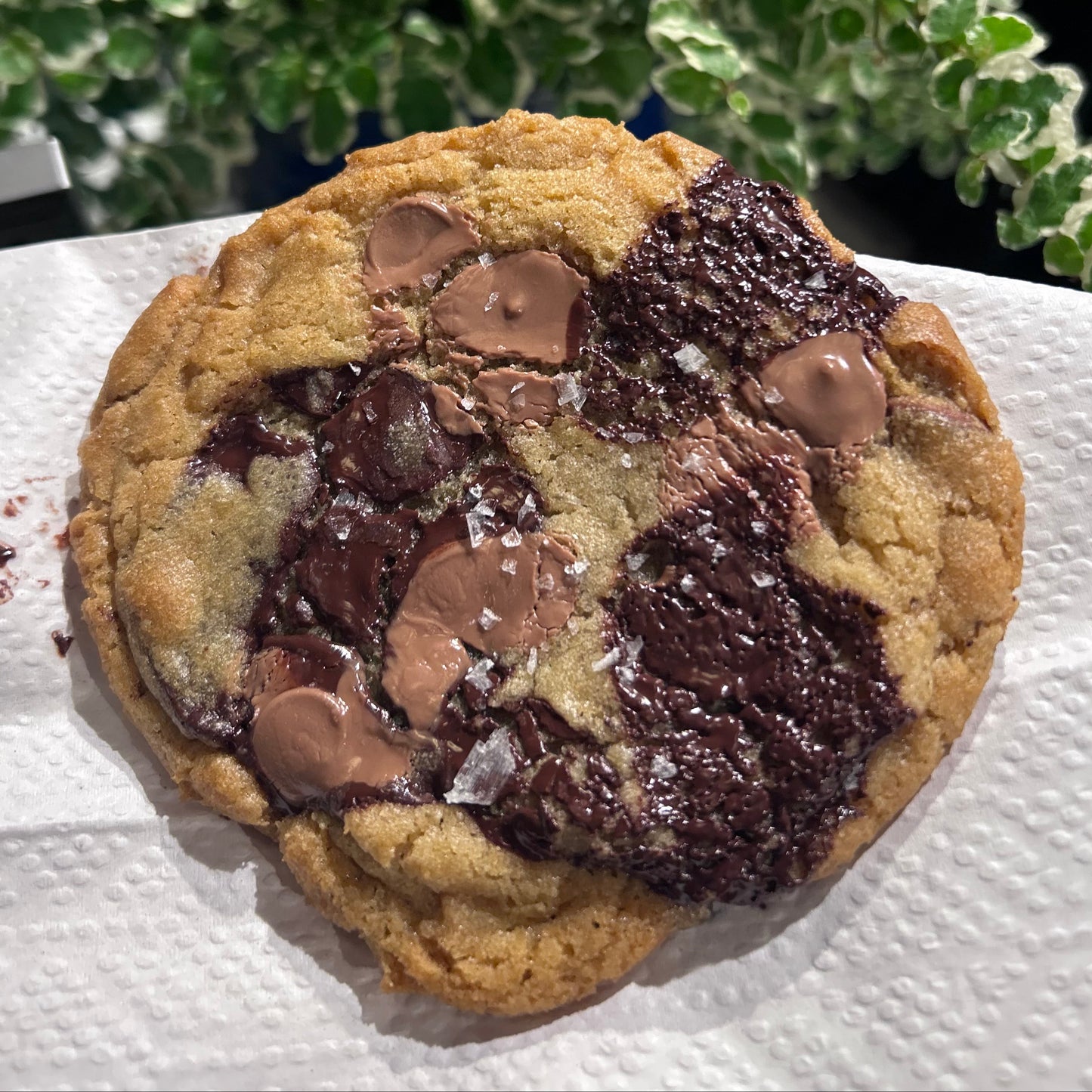 Bake Your Own Chocolate Chip Cookies