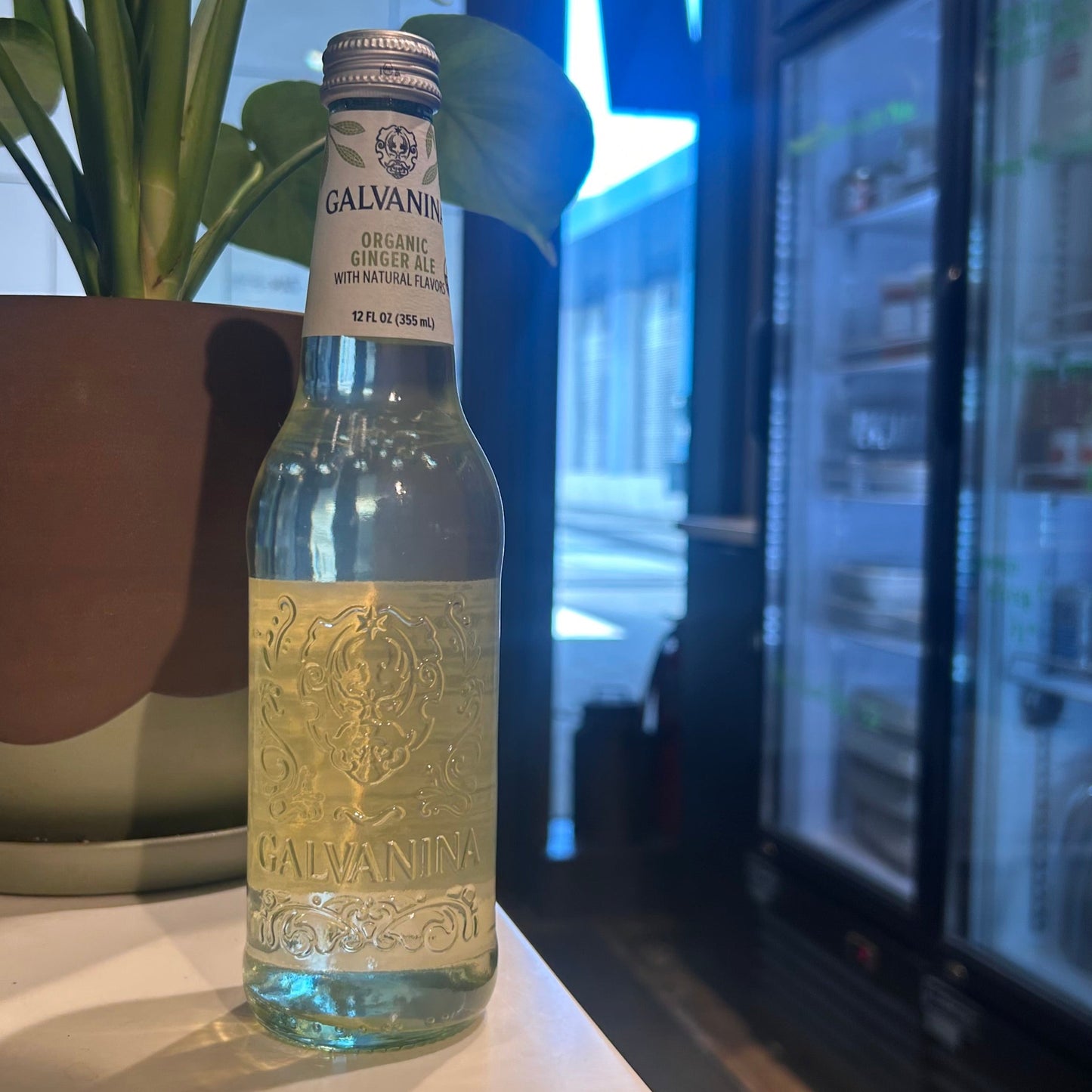 Galvanina Ginger Ale