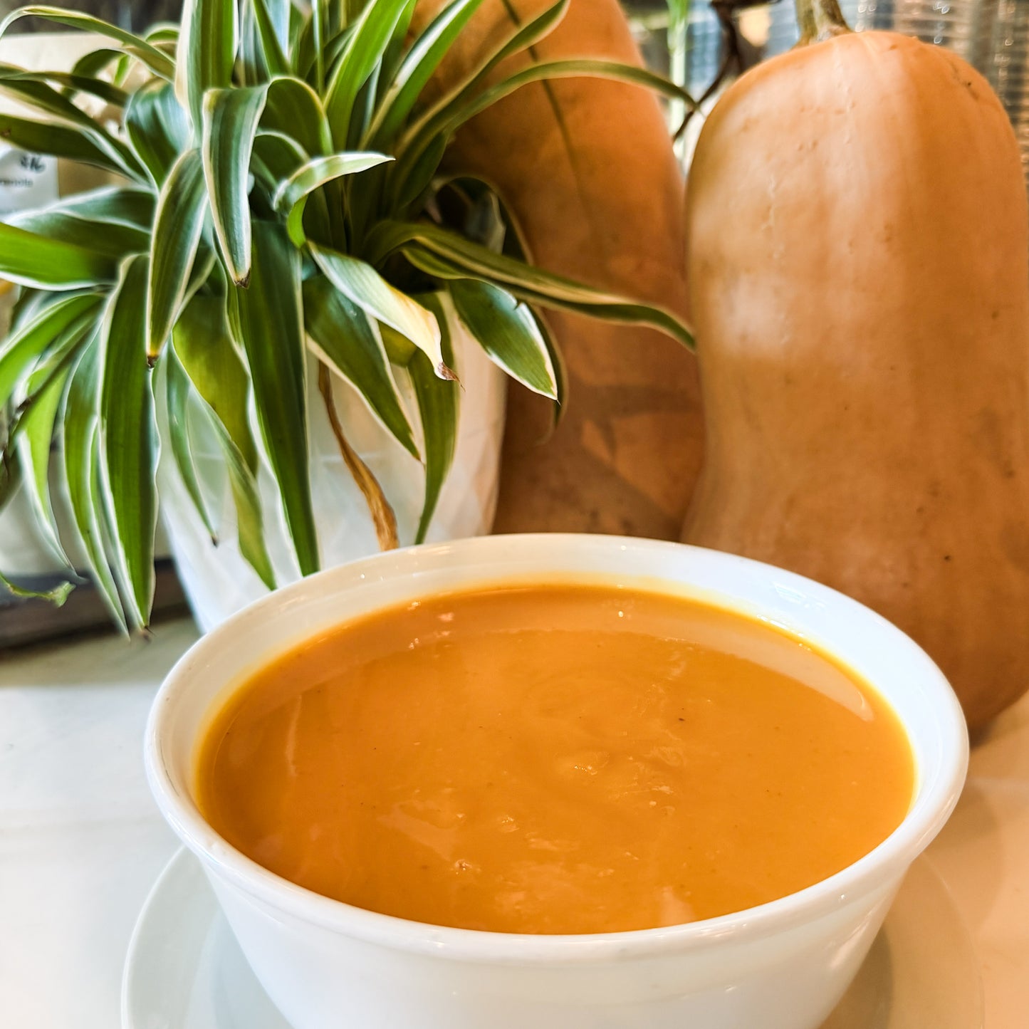 Butternut Squash Soup