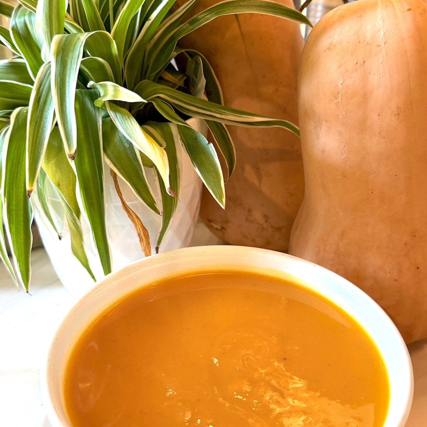 Butternut Squash Soup