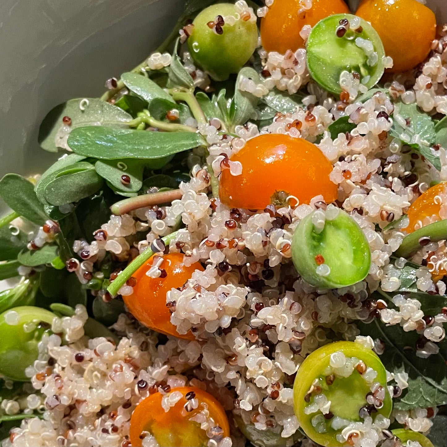 Sungold Tomato Quinoa Salad