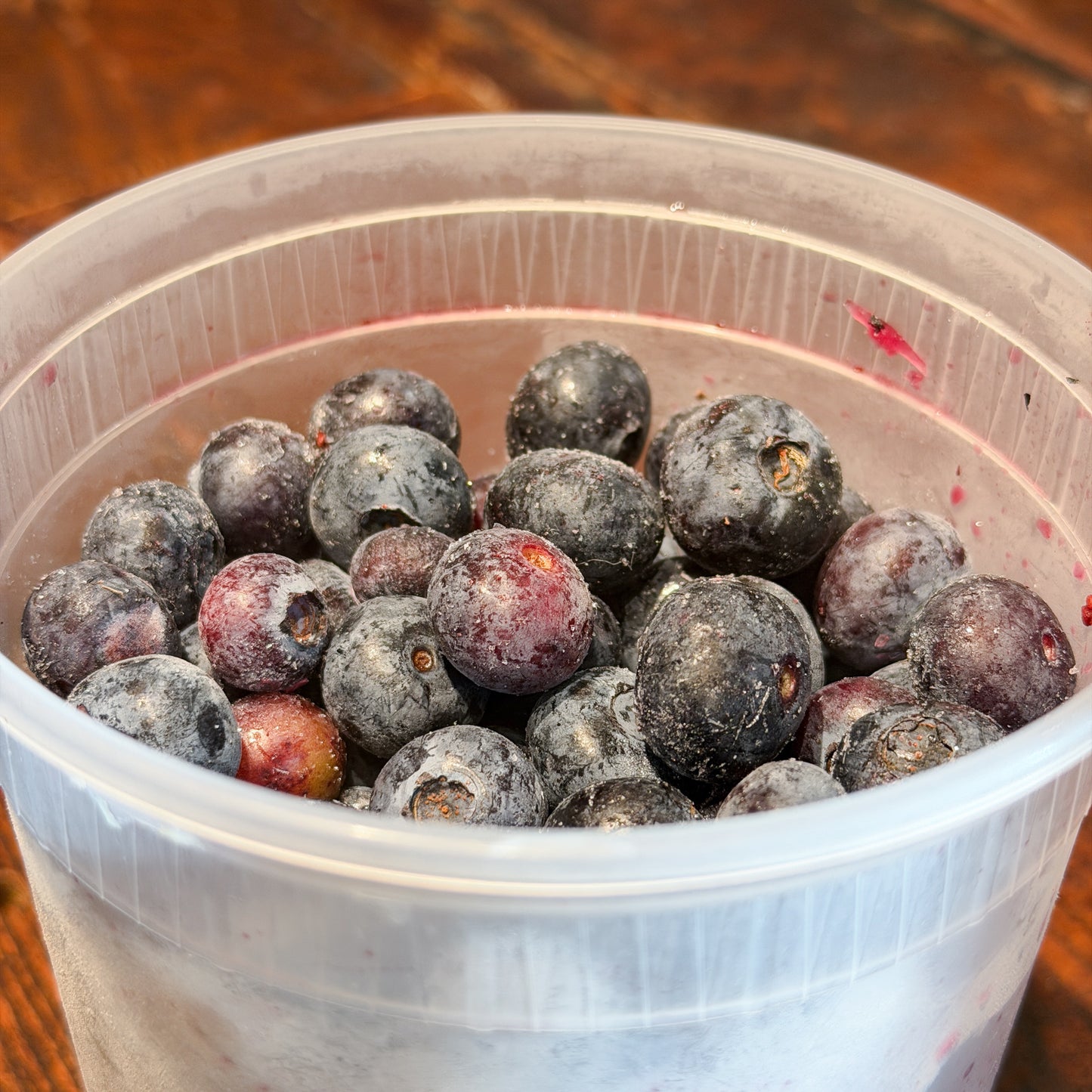 Mike's Organic Blueberries - (1lb. Frozen)