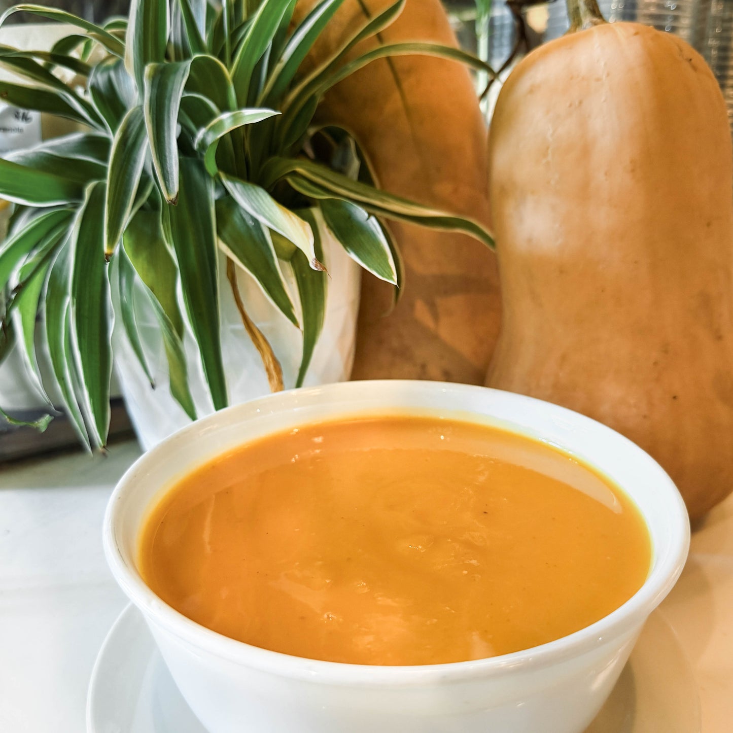 Butternut Squash Soup
