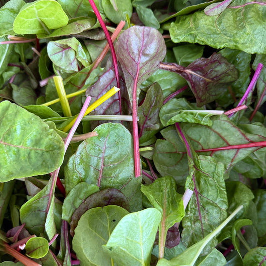Bag of Farm Greens