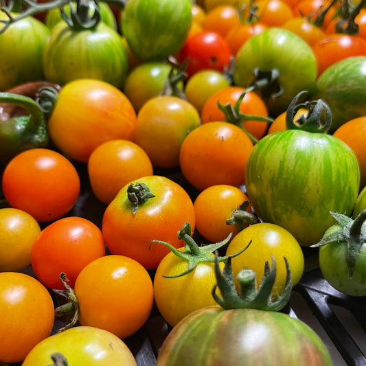 Sungold Tomato Gazpacho (32 oz)
