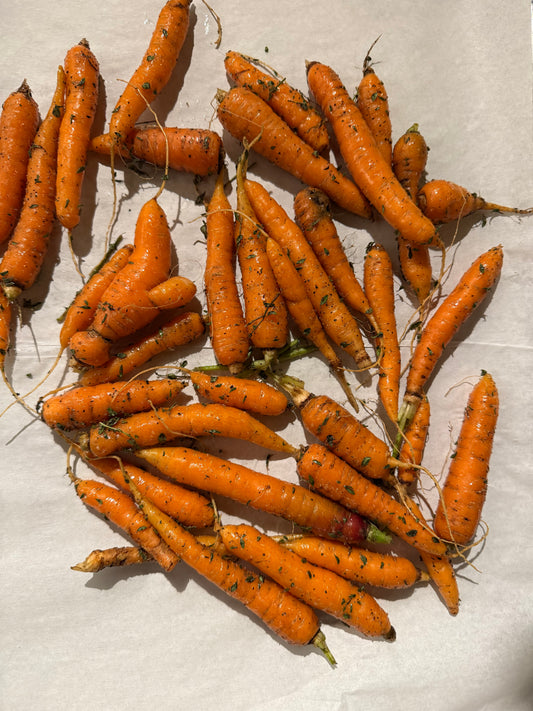 Roasted Carrots with Honey Garlic Ricotta