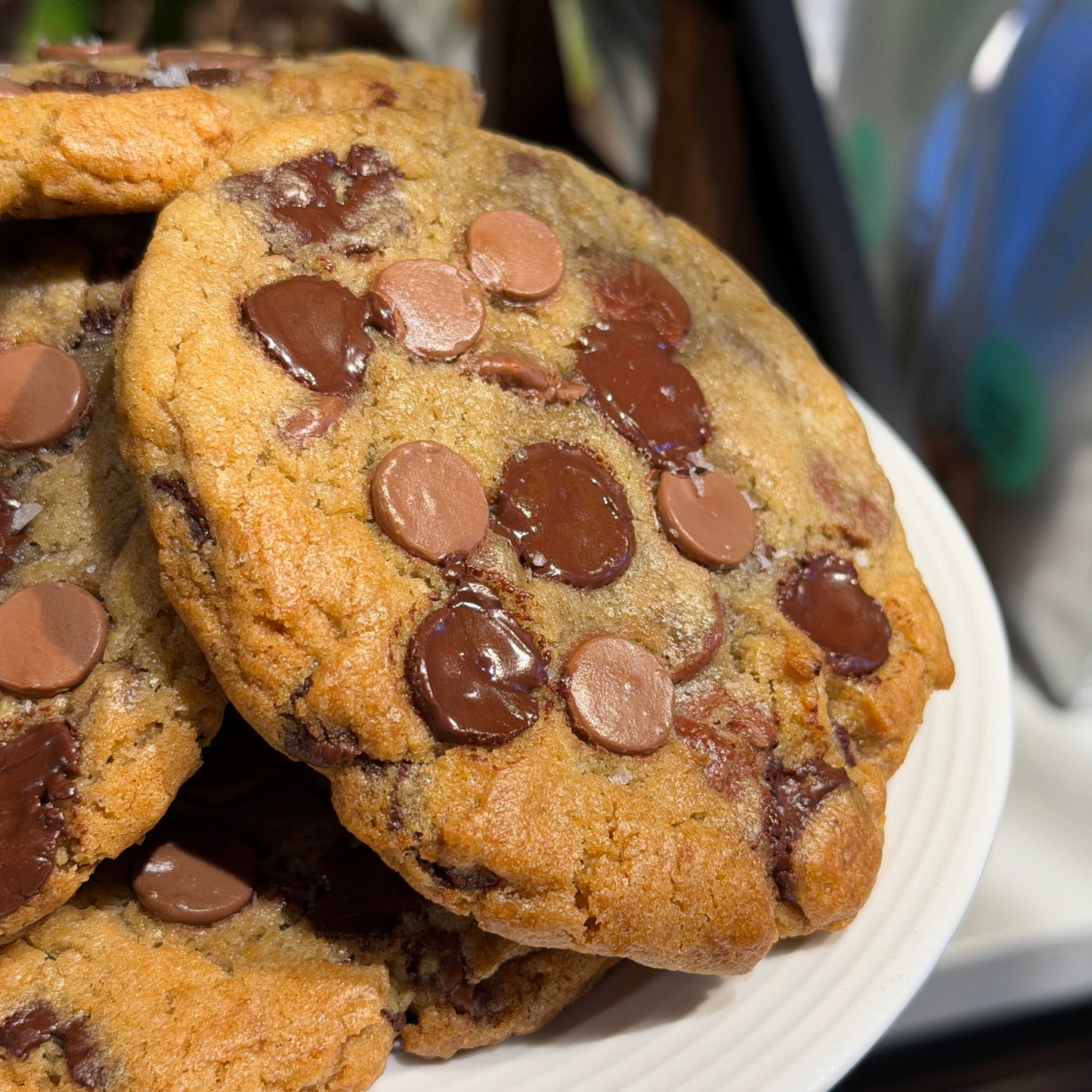 Bake Your Own Chocolate Chip Cookies