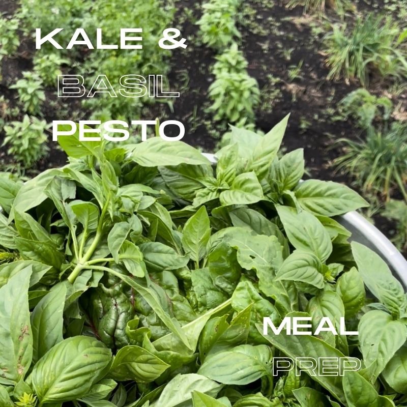 Farm Pesto