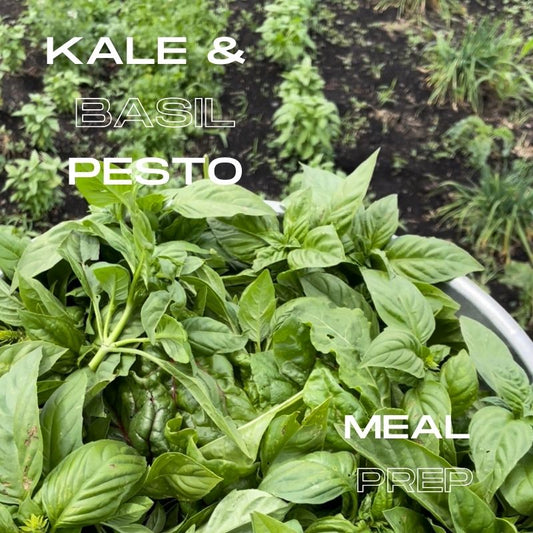 Farm Pesto